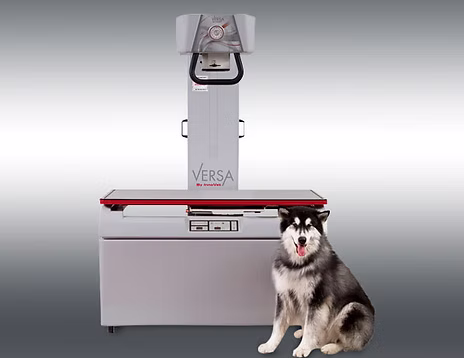 Versa Veterinary System